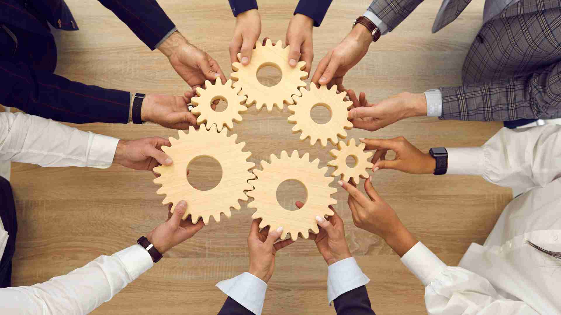 الالتزام بروح المبادرة والعمل الجماعي